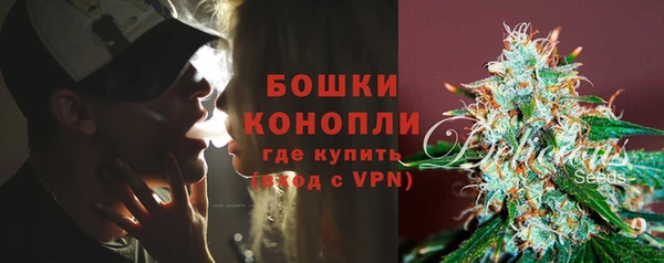 молекула духа Белокуриха