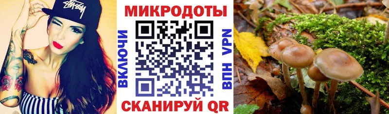 Галлюциногенные грибы Cubensis  где купить наркоту  Бородино 